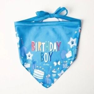 NEW Birthday Boy Dog Bandana